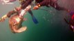 Divers rescue turtle trapped in fishing rope in Oman