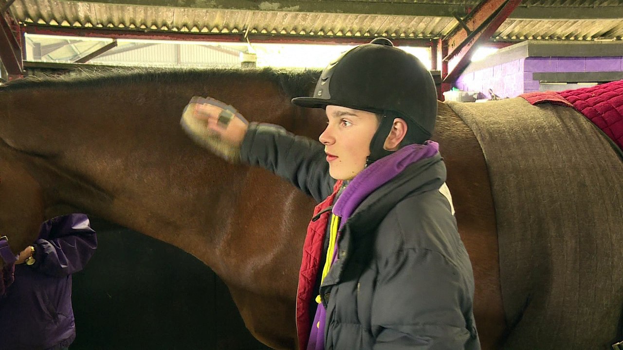 Des anciens chevaux de courses soignent des jeunes en difficulté