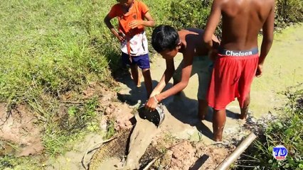 Cómo pescar a mano con los niños