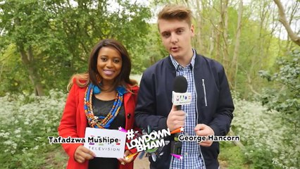 The Lowdown Birmingham - 22nd May