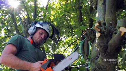 Garden Maintenance Doncaster