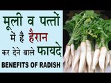 | मूली व पत्तो के 15 स्वास्थवर्धक फायदे | Health Benefits Of Radish In Hindi | Muli Ke Fayda