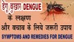 डेंगू  बुखार के लक्षण और बचाव के उपाय| Home Remedies For Dengue Fever In Hindi|Dengue Bukhar ke upya