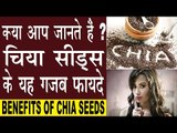 चिया सीड्स के गजब फायदे | Benefits Of Chia Seeds For Weight Loss, joint Pain, Skin In Hindi