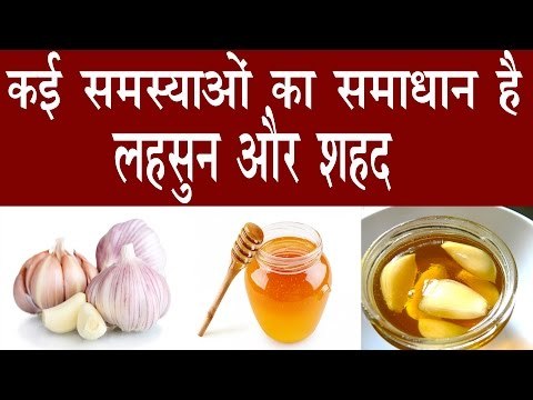 लहसुन और शहद साथ खाने से होते हैं गजब फायदे | Health Benefits Of Garlic And Honey In Hindi