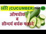 खीरे (Cucumber)के स्वास्थवर्धक व औषधीय फायदे | Health Benefits Of Cucumber| Kheera Ke Fayda In Hindi