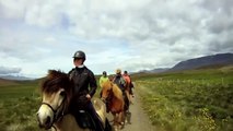 Horse Riding - Icelandic Horses fo2s
