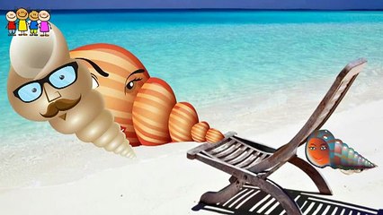 Baby Rhymes   Tomato- Brinjal-Watermelon-Gorilla Finger Family C