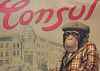 [Biographies animales] "On voit bien la singularité des individus"