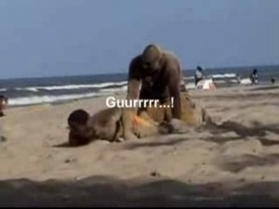 EN BUSCA DE LA MUJER MARAVILLA