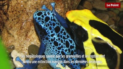 Le biomimétisme selon Idriss Aberkane #16 - La bio-inspiration animale