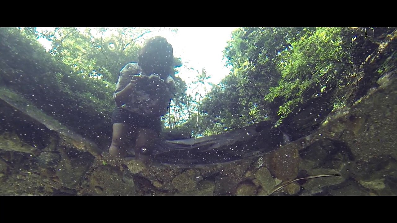 Honeycomb Passion Video
