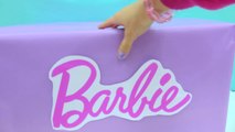 Giant Box of Barbie Dolls (Quinceañera, Pool Chic, Festival   More) Haul Video-yzX9r