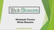 Wholesale Flowers – Whole Blossoms