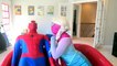 Superhero Superstars FIGHT SONG! - Spiderman vs Joker w_ Frozen Elsa, Peyonce, Kat Karmashian-nW6QBXT