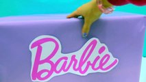Giant Box of Barbie Dolls (Quinceañera, Pool Chic, Festival   More) Haul Video-yzX9rF