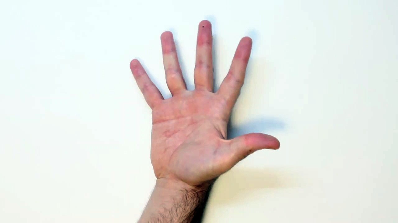 Clawdeen Wolf Monster High doll stop motion play doh video animation-puIlctiz