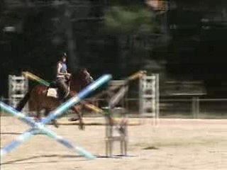 Mister dtente saut t 2007