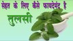 सेहत के लिए कैसे फायदेमंद है तुलसी ## Health Benefits of Tulsi ## Ayurvedic Tips