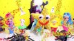 Shimmer and Shine HALLOWEEN CANDY GAME with Surprise Toys and Candy Kids Games-v1T8n