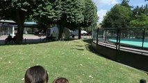 VLOG - MANÈGES & JEUX DE FÊTE FORAINE - Jardin d'Acclimatation à Paris-uSdD