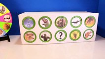 King KONG SKULL ISLAND vs DINOSAURS GAME Surprise Toys Jurassic World Slime Wheel Kids Games-gC7v