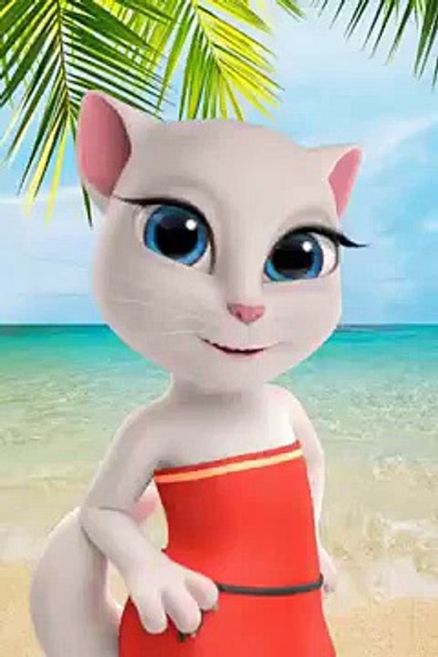 Little miss cat