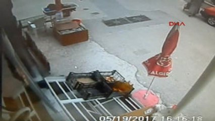 Bursa Markete Giren Çakal Böyle Gezindi