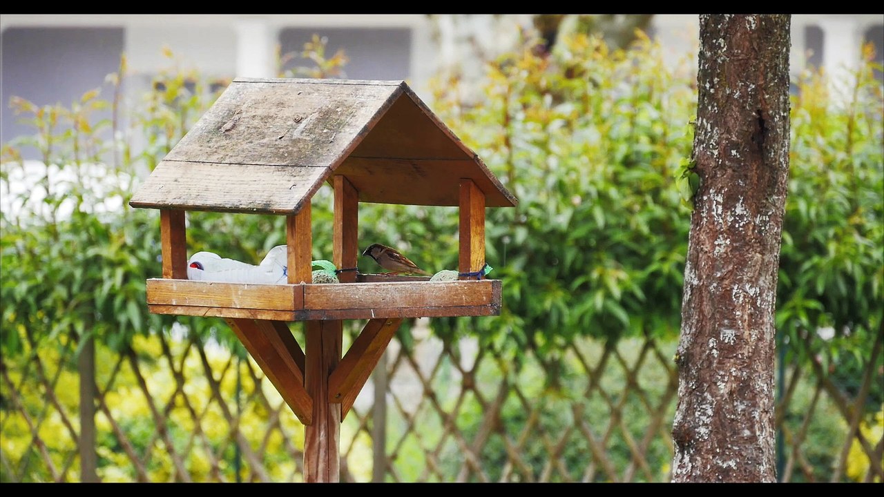 Un jardin pour tous à Bletterans ! Avec le CPIE Bresse du Jura