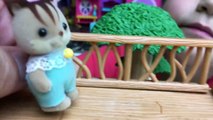 Calico Critters Kittens Ryan Plays With Liz & Bad Boy Reads Diary in a Tree House HMP Shorts Ep. 18-6UN