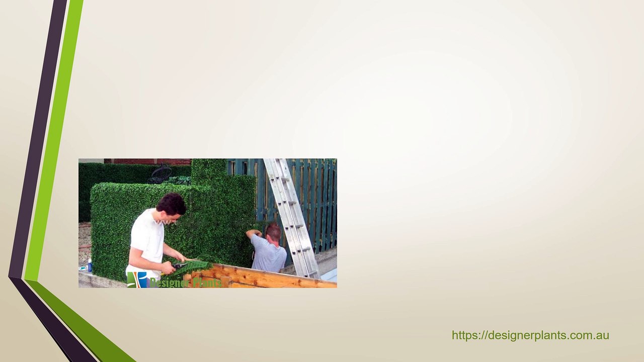 Artificial Vertical Gardens  - Designer plants