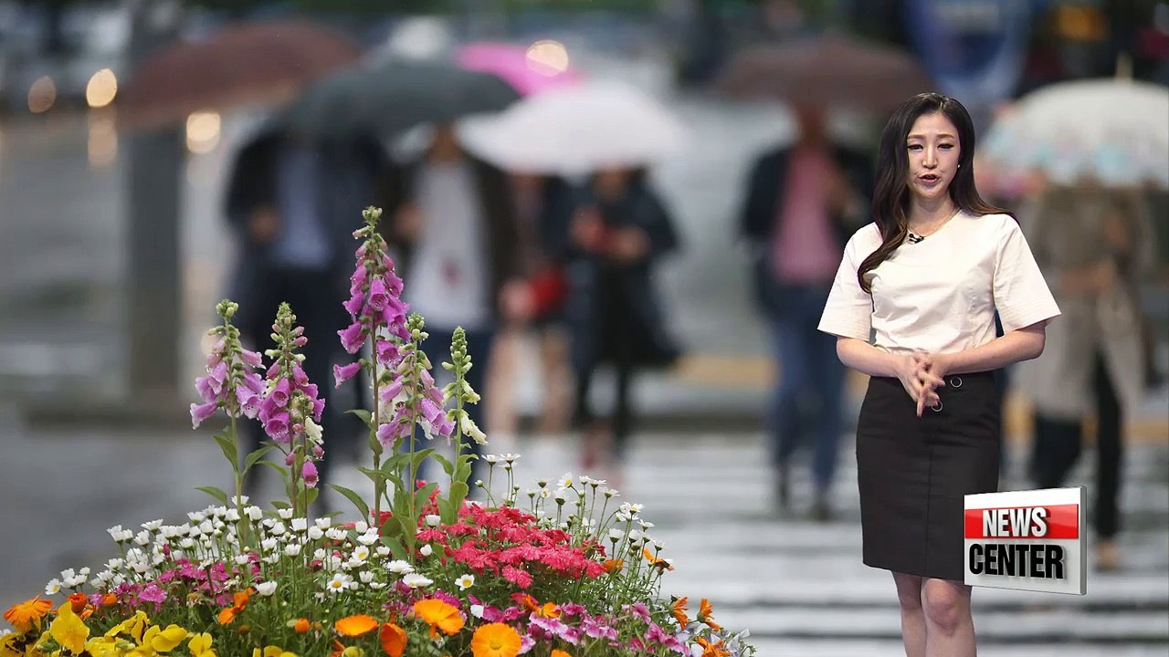 Rain until tomorrow morning, expect sunny afternoon