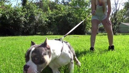 Siggy at 7 months old