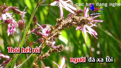 Karaoke - Tình Yêu Trả Lại Trăng Sao - Nhạc Sống Hay Nhất 2017