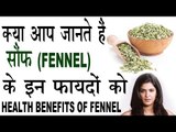 सौंफ के हैं बहुत लाजवाब फायदे |Health Benefits Of Fennel In Hindi | Saunf Ke Fayde