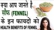 सौंफ के हैं बहुत लाजवाब फायदे |Health Benefits Of Fennel In Hindi | Saunf Ke Fayde