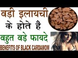 बड़ी इलायची के इन बड़े फायदों को नहीं जानते होंगे आप |  Health Benefits Of Black Cardamom In Hindi