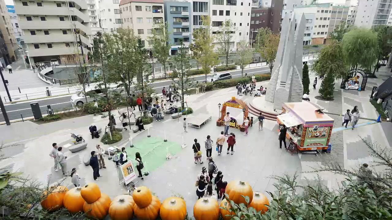 Tokio Innenstadt - Zeitraffer