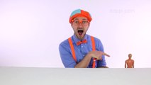 The Learn Colors for Toddlers during the Blippi Toys Fashion Show-1InSb