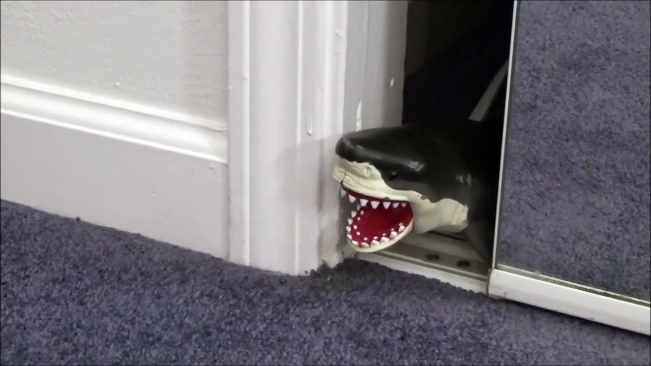 Feeding My Pet Shark Shopkins Season 2 'Toy Freaks Love Shark Week & Sharknado'-vR85