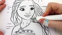 DISNEY PRINCESS MOANA COLORING BOOK VIDEOS FOR KIDS WITH HEIHEI AND PUA COLORING PAGES-PY_0ludvF