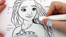 DISNEY PRINCESS MOANA COLORING BOOK VIDEOS FOR KIDS WITH HEIHEI AND PUA COLORING PAGES-PY_0lu