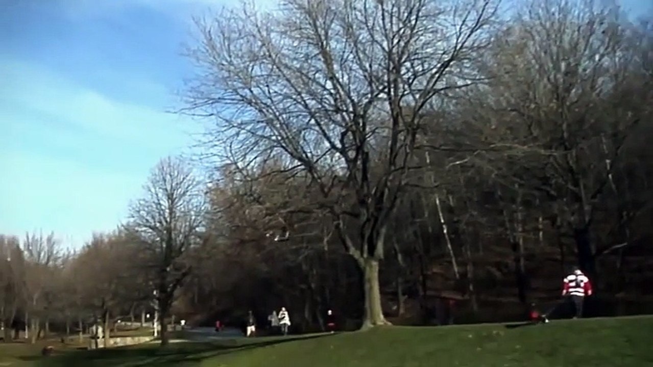 Golden Eagle Snatches Kid