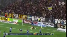 Djurgardens 0:1 AIK  (Swedish Allsvenskan. 22 May 2017)