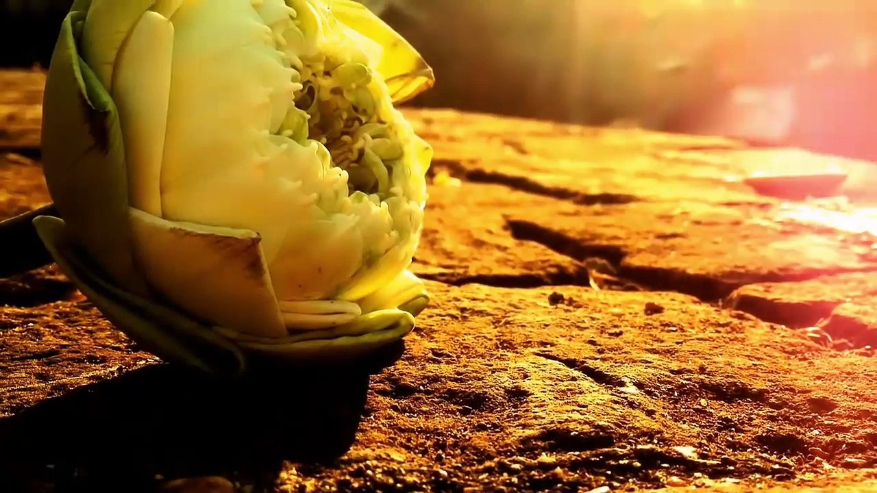 Chiang Mai - Yee Peng Festival