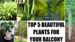 Top 5 plants that will keep your balcony cool in summers | Boldsky