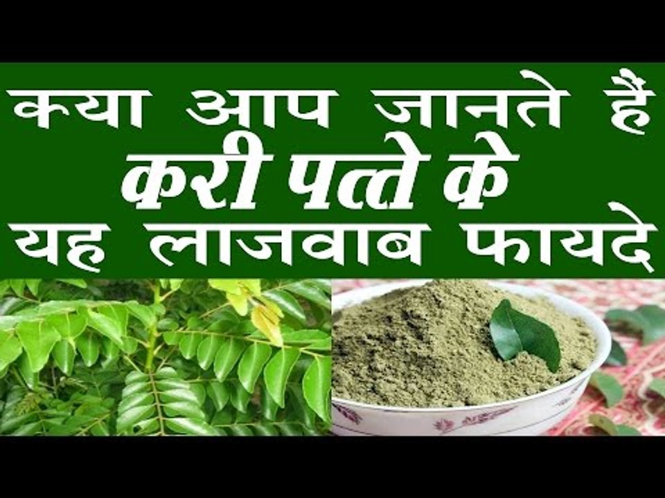 करी पत्ते के होते हैं बहुत लाजवाब फायदे | Health Benefits Of Curry Leaves (Patta) In Hindi