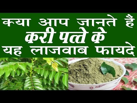 करी पत्ते के होते हैं बहुत लाजवाब फायदे | Health Benefits Of Curry Leaves (Patta) In Hindi