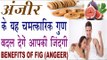 अंजीर (FIG) के यह चमत्कारिक गुण बदल देंगे आपकी जिंदगी | Health Benefits Of Fig /Anjeer In Hindi