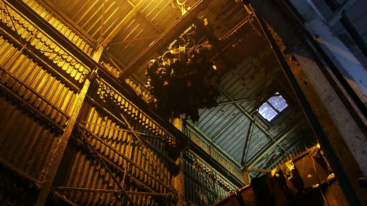 Coved Environnement - Le compostage